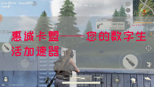 惠诚卡盟——您的数字生活加速器