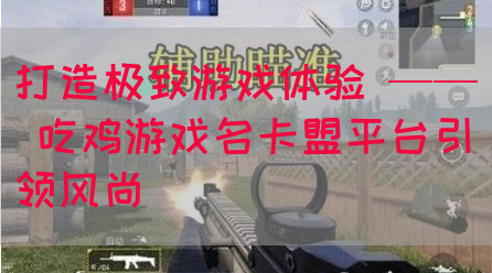 打造极致游戏体验 —— 吃鸡游戏名卡盟平台引领风尚