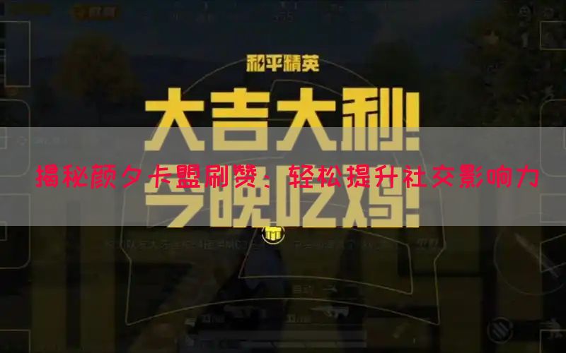 揭秘颜夕卡盟刷赞：轻松提升社交影响力(图1)