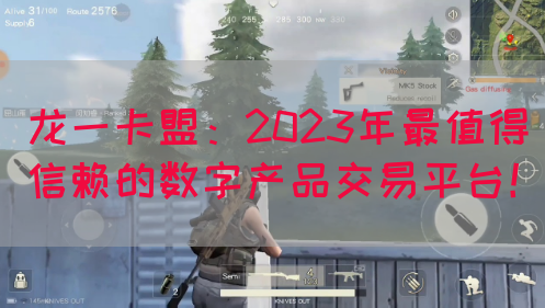 龙一卡盟：2023年最值得信赖的数字产品交易平台！(图1)