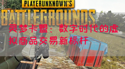 灵梦卡盟：数字时代的虚拟商品交易新标杆(图1)