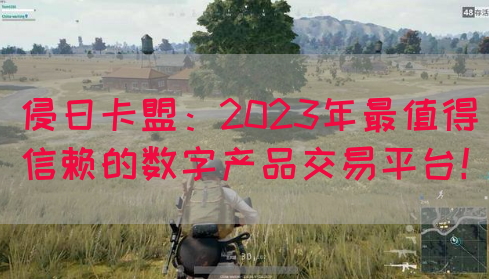 侵日卡盟：2023年最值得信赖的数字产品交易平台！(图1)
