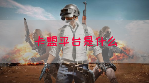 卡盟平台是什么(图1)