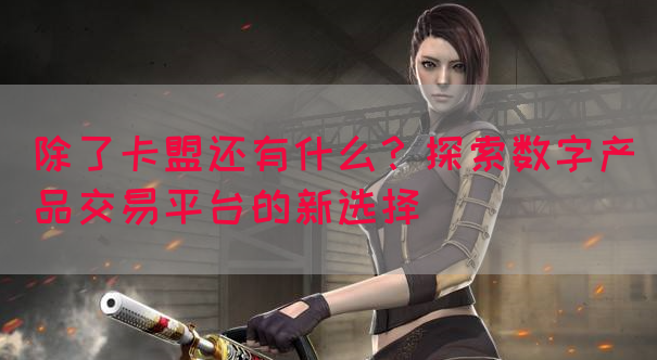 除了卡盟还有什么？探索数字产品交易平台的新选择(图1)