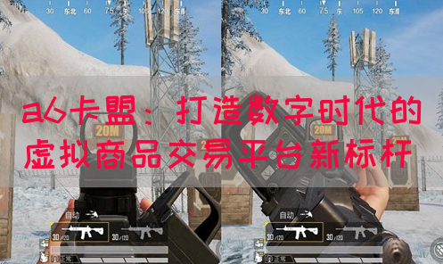 a6卡盟：打造数字时代的虚拟商品交易平台新标杆(图1)