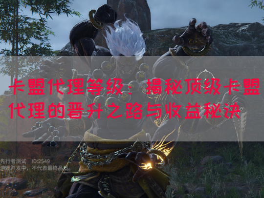卡盟代理等级：揭秘顶级卡盟代理的晋升之路与收益秘诀(图1)