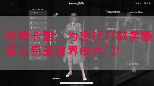 阿坤卡盟：为您打开数字商品交易新世界的大门！(图1)