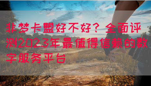 非梦卡盟好不好？全面评测2023年最值得信赖的数字服务平台(图1)