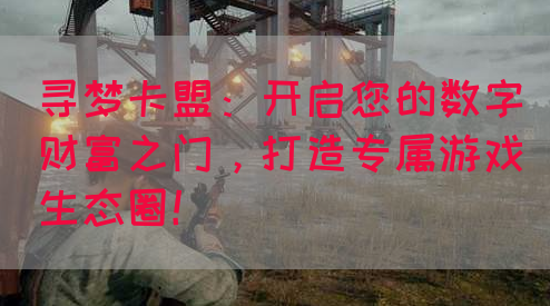 寻梦卡盟：开启您的数字财富之门，打造专属游戏生态圈！(图1)