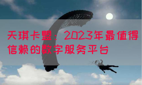 天琪卡盟：2023年最值得信赖的数字服务平台(图1)