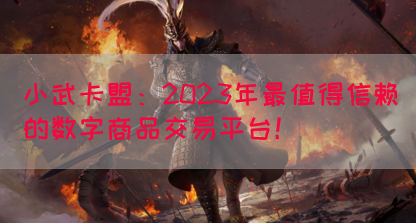 小武卡盟：2023年最值得信赖的数字商品交易平台！(图1)