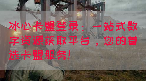 冰心卡盟登录：一站式数字资源获取平台，您的首选卡盟服务！(图1)
