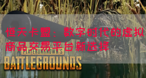 恒天卡盟：数字时代的虚拟商品交易平台新选择(图1)