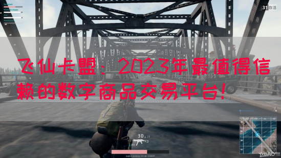 飞仙卡盟：2023年最值得信赖的数字商品交易平台！(图1)