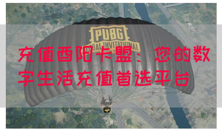 充值酉阳卡盟：您的数字生活充值首选平台(图1)