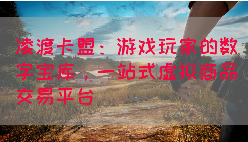 凌渡卡盟：游戏玩家的数字宝库，一站式虚拟商品交易平台(图1)