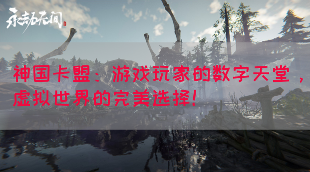 神国卡盟：游戏玩家的数字天堂，虚拟世界的完美选择！(图1)
