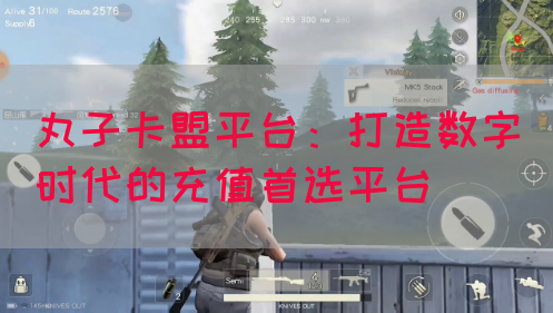 丸子卡盟平台：打造数字时代的充值首选平台(图1)