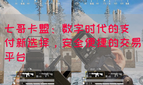 七哥卡盟：数字时代的支付新选择，安全便捷的交易平台(图1)