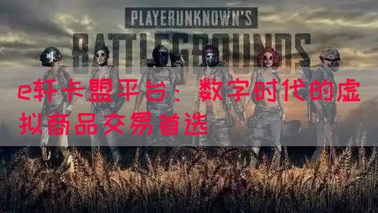 e轩卡盟平台：数字时代的虚拟商品交易首选(图1)
