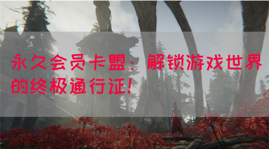 永久会员卡盟：解锁游戏世界的终极通行证！(图1)