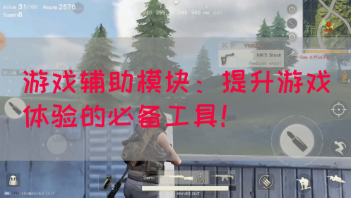游戏辅助模块：提升游戏体验的必备工具！(图1)