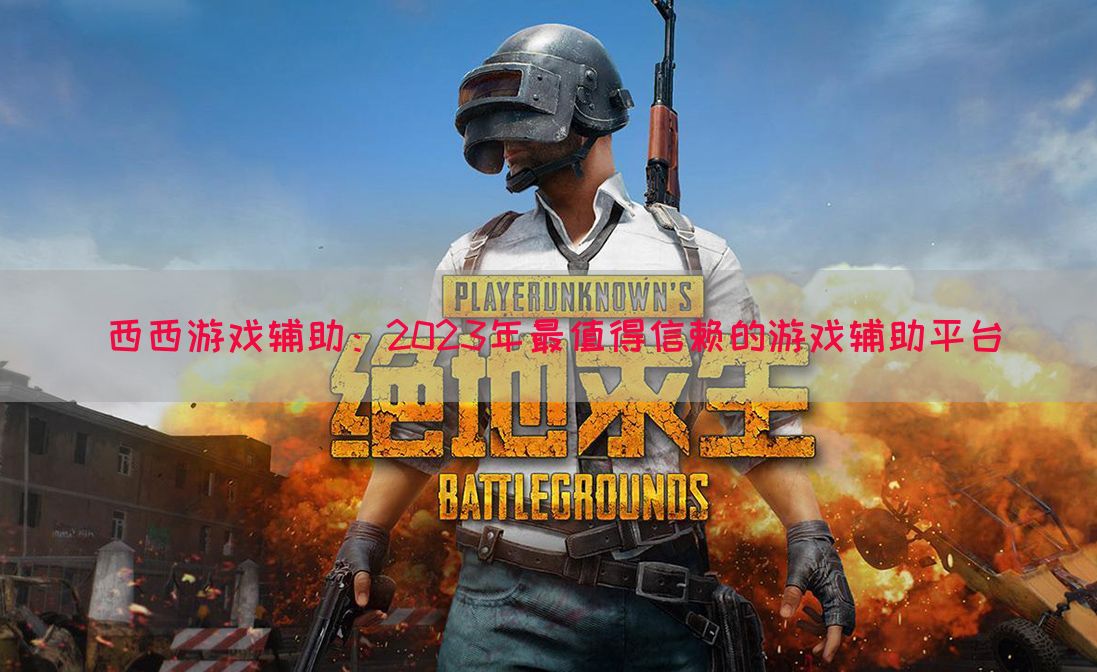 西西游戏辅助：2023年最值得信赖的游戏辅助平台(图1)