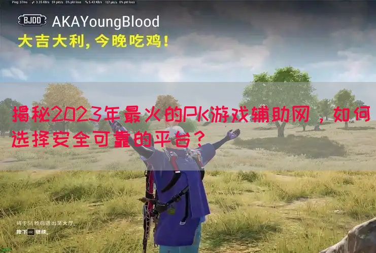 揭秘2023年最火的PK游戏辅助网，如何选择安全可靠的平台？(图1)