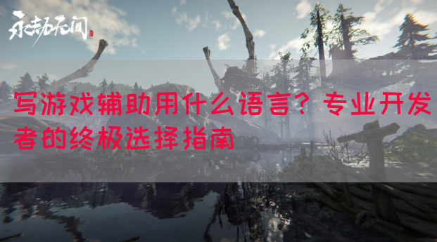 写游戏辅助用什么语言？专业开发者的终极选择指南(图1)