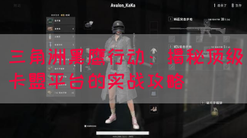 三角洲黑鹰行动：揭秘顶级卡盟平台的实战攻略(图1)