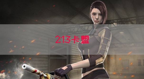 213卡盟(图1)