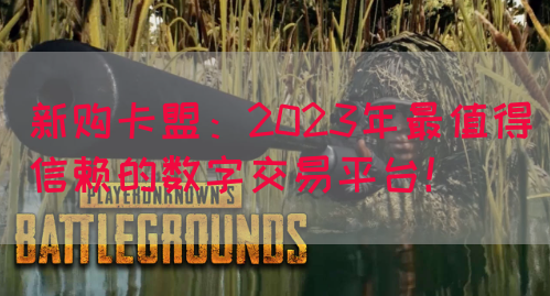 新购卡盟：2023年最值得信赖的数字交易平台！(图1)