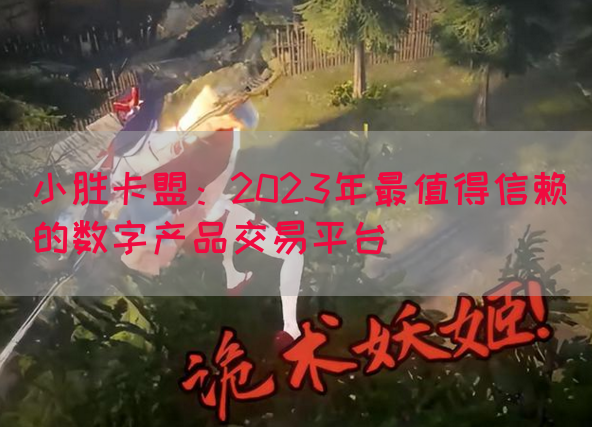 小胜卡盟：2023年最值得信赖的数字产品交易平台(图1)