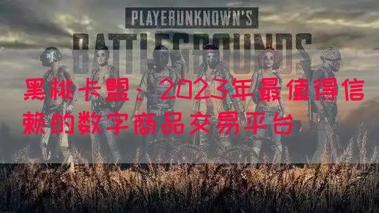 黑桃卡盟：2023年最值得信赖的数字商品交易平台(图1)