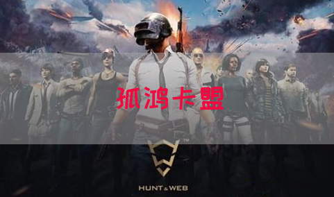 孤鸿卡盟(图1)