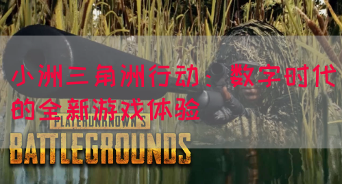 小洲三角洲行动：数字时代的全新游戏体验(图1)