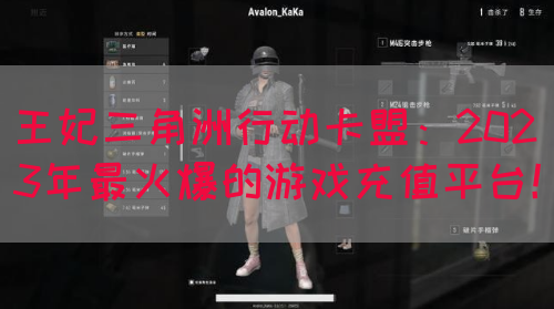 王妃三角洲行动卡盟：2023年最火爆的游戏充值平台！(图1)