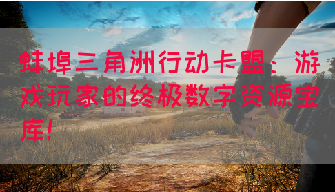 蚌埠三角洲行动卡盟：游戏玩家的终极数字资源宝库！(图1)