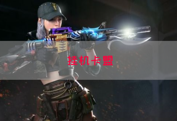 挂机卡盟