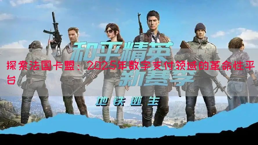探索法国卡盟：2025年数字支付领域的革命性平台