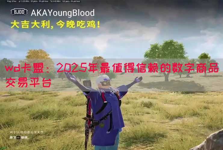 wd卡盟：2025年最值得信赖的数字商品交易平台(图1)