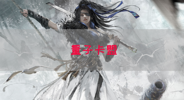 量子卡盟(图1)