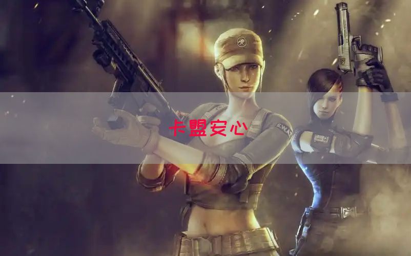 卡盟安心(图1)