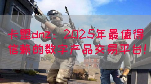 卡盟dnz：2025年最值得信赖的数字产品交易平台！(图1)