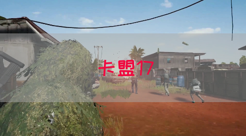 卡盟17(图1)