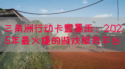 三角洲行动卡盟暴雨：2025年最火爆的游戏服务平台(图1)
