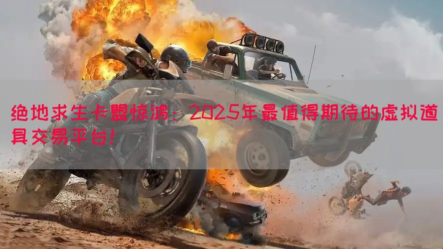 绝地求生卡盟惊鸿：2025年最值得期待的虚拟道具交易平台！(图1)