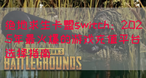 绝地求生卡盟switch：2025年最火爆的游戏充值平台选择指南(图1)