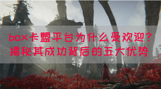 box卡盟平台为什么受欢迎？揭秘其成功背后的五大优势(图1)