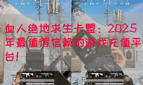 血人绝地求生卡盟：2025年最值得信赖的游戏充值平台！(图1)